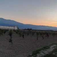 فروش-زمین-کشاورزی-به-متراژ-حدود-3هکتار