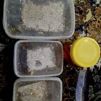 عسل طبیعی|خوردنی و آشامیدنی|قرچک, میرزائی شمالی|دیوار