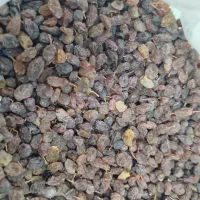 پخش عمده و جزیی کشمش آفتابی ، مویز ،|خوردنی و آشامیدنی|اهواز, منبع اب|دیوار