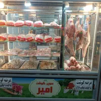 گوشت گوساله ومرغ