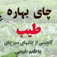 چای ممتاز و قلم|خوردنی و آشامیدنی|رشت, ولکس|دیوار