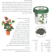 قرص کودارگانیک مخصوص گیاهان آپارتمانی|خدمات باغبانی و درختکاری|بروجرد, |دیوار