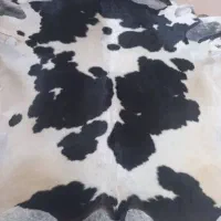 پوست گاو بز گوسفند