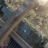 لباس مجلسی|لباس|سیرجان, |دیوار