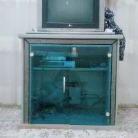 زیر تلویزیونی