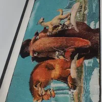 فرش اتاق خواب|فرش|کرج, فاز ۳ گوهردشت|دیوار