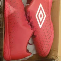 کفش فوتسال نو