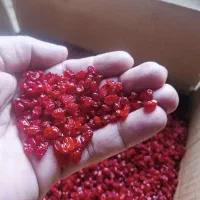 زعفران وزرشک ازمزرعه قاینات درتهران حضوری ازکشاورز|خوردنی و آشامیدنی|تهران, قصر فیروزه ۲|دیوار