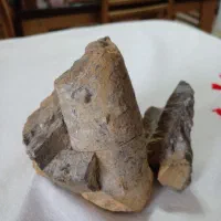 سنگ فسیل|کلکسیون اشیاء عتیقه|مشهد مرغاب, |دیوار