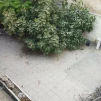 اجاره منزل مستقل برای انبار برروی خیابان منطق|اجارهٔ خانه و ویلا|شیراز, عادل آباد|دیوار