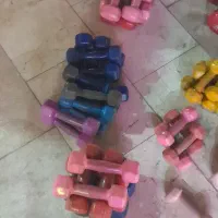 دمبل صفحه هالتر خریدم داریم تجهیزات باشگاهی