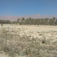 زمین-شش-دانگ-سند-واقع-در-شهرک-امام-حسن