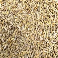 جو خارجی.کیلویی ۲۸