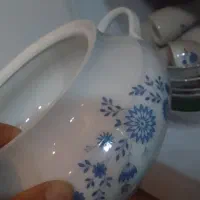 ظرف های قدیمی گل آبی زیرقیمت