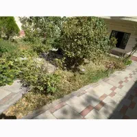 گلکاری چمن کاری چمن زنی سم پاشی هرس انگور و درختان|خدمات باغبانی و درختکاری|تبریز, |دیوار