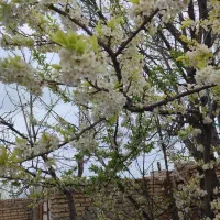 منزل-باغی-نزدیک-مشهد