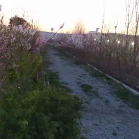 باغ ۱۳۳۰متر شهریار،دهشاد پایین،خیابان ایران زمین|فروش خانه و ویلا|شهریار, دهشاد پائین|دیوار