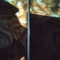 پد7پرو شیائمی|تبلت|یاسوج, |دیوار