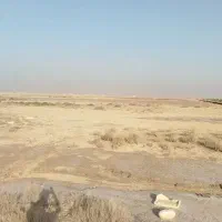 فروش زمین پرورش میگو . رود شور