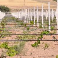 لوله کشی باغ و باغچه|خدمات باغبانی و درختکاری|ارومیه, |دیوار