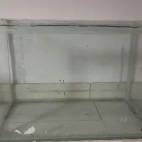 آکواریوم سالم ۶۰در۴۰