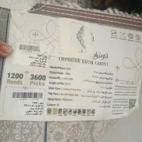 فرش ۶ متری ۱۲۰۰ شونه ۳۶۰۰ تراکم|فرش|پاپی, |دیوار