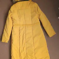 پالتو|لباس|فامنین, |دیوار