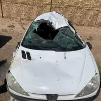 ۲۰۶ تصادفی تیپ ۲ مدل ۹۰