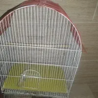 قفس