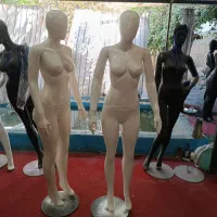 مانکن|فروشگاه و مغازه|سنندج, |دیوار