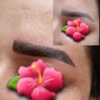 خدمات میکروبلیدینگ،فیبروز ابرو