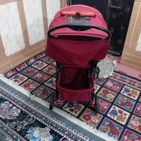 سالم‌تمیز|کالسکه و لوازم جانبی|رودان, |دیوار
