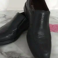 کفش|کیف، کفش، کمربند|آمل, |دیوار