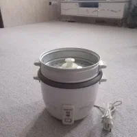 آرام پز برقی