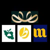 طلای رایگان با برنامه جدید همیان +سه برنامه دیگر