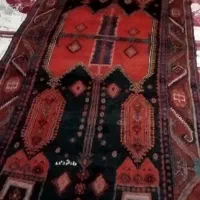 قالی کوردی