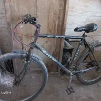 دوچرخه ۲۶ آساک دماوند اصل.