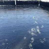 آسفالت ایزوگام قیروگونی تراشه تمامی نقاط|خدمات پیشه و مهارت|تهران, افسریه شمالی|دیوار