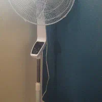 پنکه