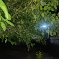 راهنمای