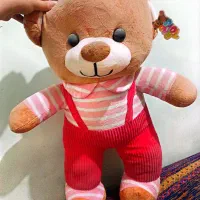 خرس|کلکسیون و سرگرمی|فولادشهر, فولادشهر|دیوار