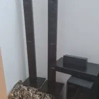 سینما خانواده