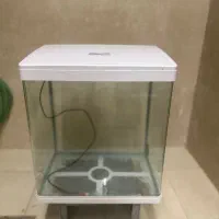 آکواریوم شیشه خم