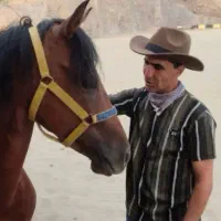 اسب جوان 4/5|اسب و تجهیزات اسبسواری|سنندج, |دیوار