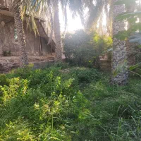 1. خانه ویلایی تجاری مسکونی|فروش خانه و ویلا|نرماشیر, |دیوار