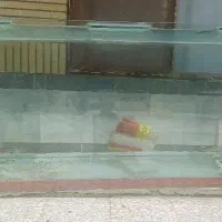 اکواریوم بزرگ