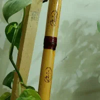 نی فا دیز|سازهای بادی|مشهد, نظام دوست|دیوار