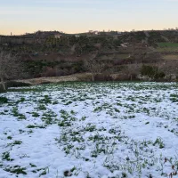 2300-متر-زمین-واقع-در-روستای-زیبای-کردخیل-ساری