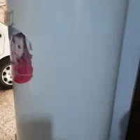 حراجی وسایل نو منزل به علت جابجایی وکمبود فضا کافی