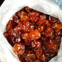 آلوچه شرابی افتابی